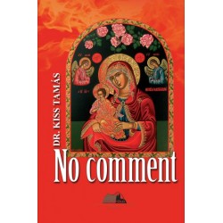 Kiss Tamás: No comment