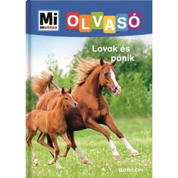 Christina Braun: Lovak és pónik - Mi Micsoda Olvasó