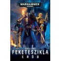 Darius Hinks: Feketeszikla Erőd