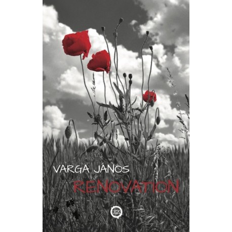 Varga János: Renovation