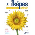 P. Márkus Katalin: Nagy képes angol-magyar szótár