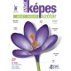 P. Márkus Katalin: Nagy képes német-magyar szótár