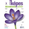 P. Márkus Katalin: Nagy képes német-magyar szótár
