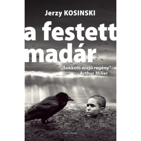 Jerzy Kosinski: A festett madár