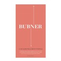 Rüdiger Bubner: A dialektika mint topika - A racionalitás egy életvilágbeli elméletének építőkövei