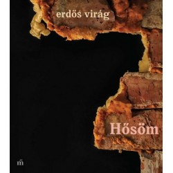 Erdős Virág: Hősöm