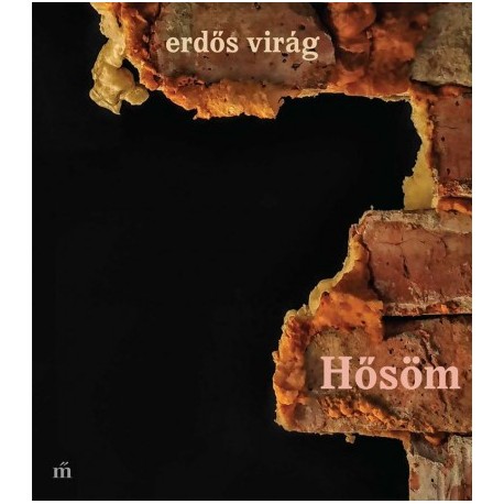 Erdős Virág: Hősöm