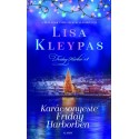 Lisa Kleypas: Karácsonyeste Friday Harborben