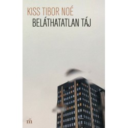 Kiss Tibor Noé: Beláthatatlan táj