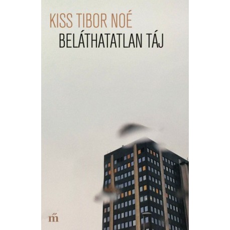 Kiss Tibor Noé: Beláthatatlan táj