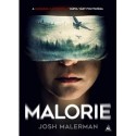 Josh Malerman: Malorie - Madarak a dobozban 2.
