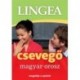 Magyar-orosz csevegő