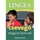 Magyar-szlovák csevegő