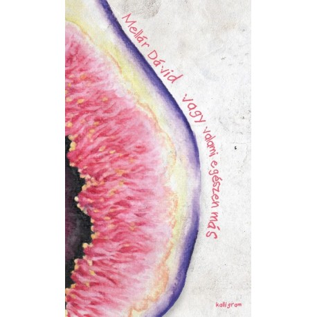 Mellár Dávid: Vagy valami egészen más