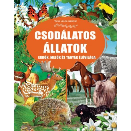 Csodálatos állatok - Erdők, mezők és tanyák élővilága
