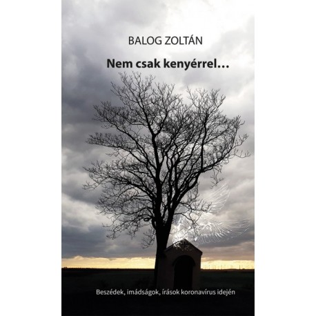 Balog Zoltán: Nem csak kenyérrel... - Beszédek, imádságok, írások a koronavírus idején