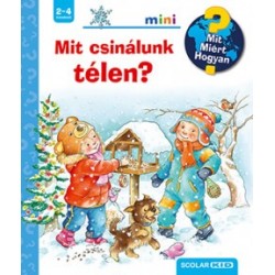 Andrea Erne: Mit csinálunk télen? - Mit? Miért? Hogyan? Mini
