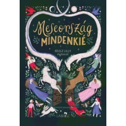 Nagy Boldizsár: Meseország mindenkié