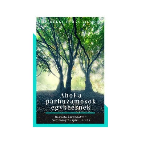 Bükki Tamás Aila: Ahol a párhuzamosok egybeérnek - Beavató zarándoklat, tudomány és spiritualitás