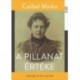 Czóbel Minka: A pillanat értéke - Lappangó versek, kisprózák