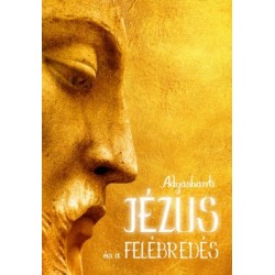Adyashanti: Jézus és a felébredés