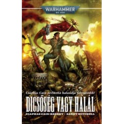 Sandy Mitchell: Dicsőség vagy halál