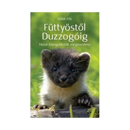 Gera Pál: Füttyöstől Duzzogóig - Hazai kisragadozók megmentése