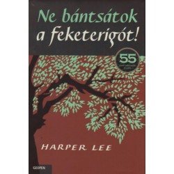 Harper Lee: Ne bántsátok a feketerigót!