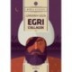 Gárdonyi Géza: Egri csillagok