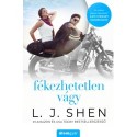 L.J. Shen: Fékezhetetlen vágy