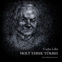 Csaba Lilla: Holt terek tükrei