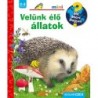 Patricia Mennen: Velünk élő állatok - Mit? Miért? Hogyan?