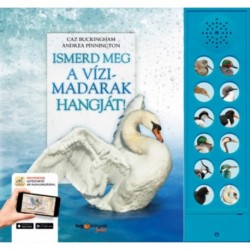 Andrea Pinnington, Caz Buckingham: Ismerd meg a vízimadarak hangját! - A vízi élőhelyek madárvilága életre kel