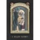 Lemony Snicket: A balszerencse áradása 1. - A baljós kezdet