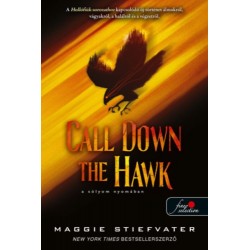 Maggie Stiefvater: Call Down the Hawk - A sólyom nyomában - Álmodok-trilógia 1.