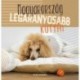Magyarország legaranyosabb kutyái - 365 gondolat