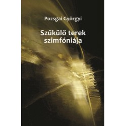 Pozsgai Györgyi: Szűkülő terek szimfóniája
