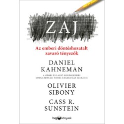 Daniel Kahneman, Olivier Sibony, Cass R. Sunstein: Zaj - Az emberi döntéshozatalt zavaró tényezők