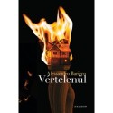 Alessandro Baricco: Vértelenül