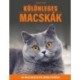 Géczi Zoltán: Különleges macskák - 35 macskafajta bemutatása