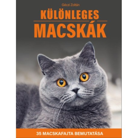Géczi Zoltán: Különleges macskák - 35 macskafajta bemutatása
