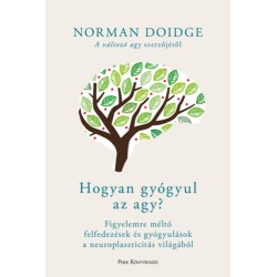 Norman Doidge: Hogyan gyógyul az agy? - Figyelemre méltó felfedezések és gyógyulások a neuroplaszticitás világából
