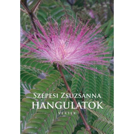 Szepesi Zsuzsanna: Hangulatok