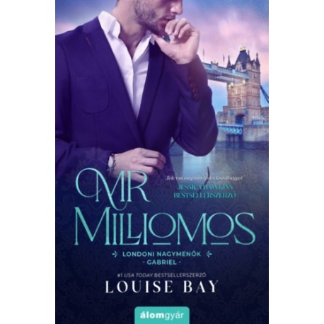 Louise Bay: Mr. Milliomos - Gabriel