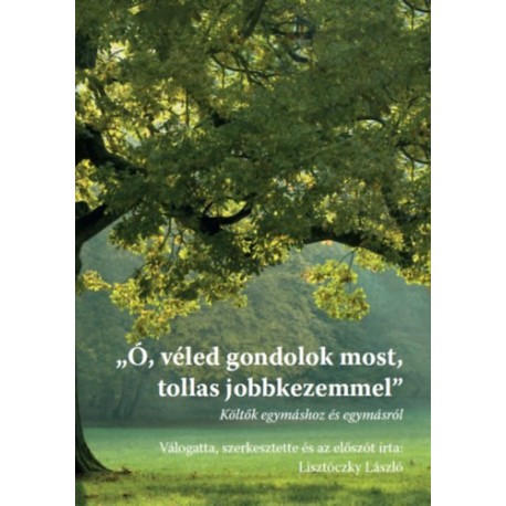 "Ó, véled gondolok most, tollas jobbkezemmel" - Költők egymáshoz és egymásról