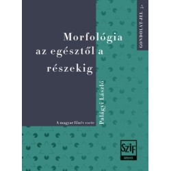 Palágyi László: Morfológia az egésztől a részekig - A magyar főnév esete