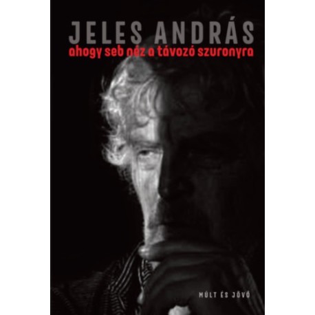 Jeles András: ahogy seb néz a távozó szuronyra