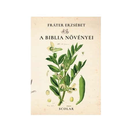 Fráter Erzsébet: A Biblia növényei