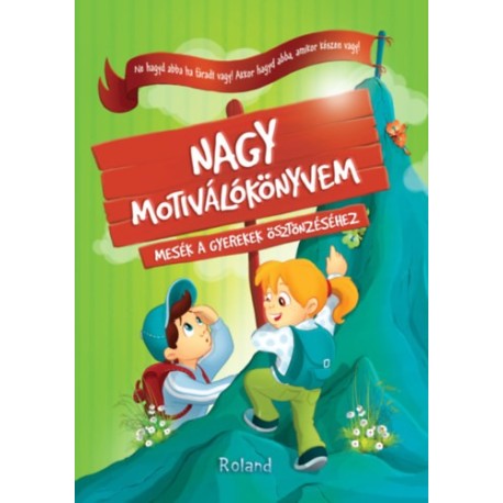 Halász-Szabó Klaudia, Sillinger Nikolett: Nagy motiválókönyvem