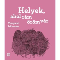 Veszprémi Szilveszter: Helyek, ahol rám öröm vár